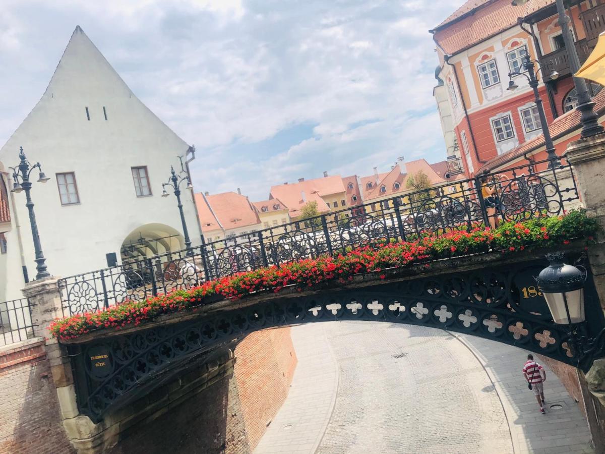 Casa Young&Jung Sibiu Exteriér fotografie